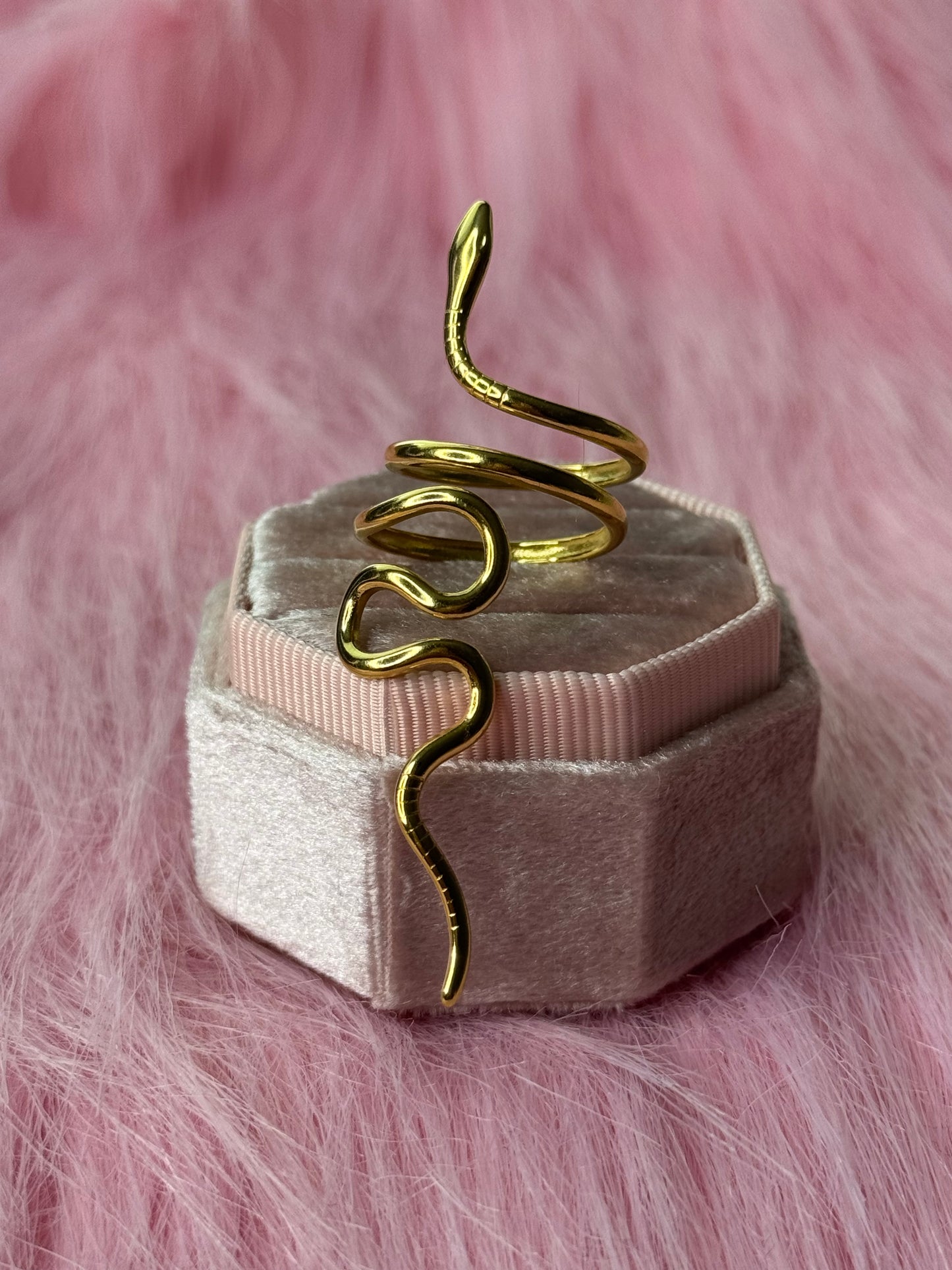 1 stainless steel ring