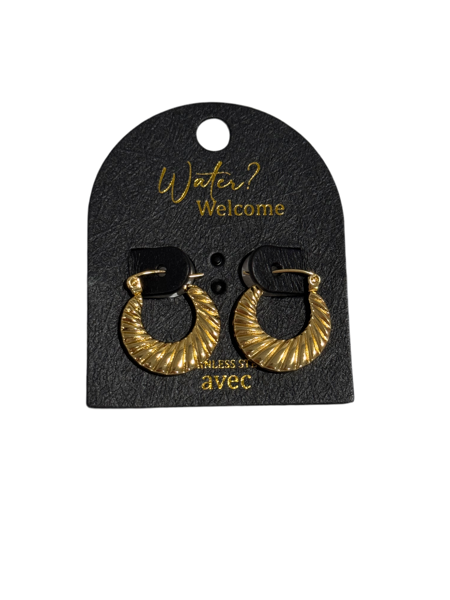 Stainless Steel Earrings