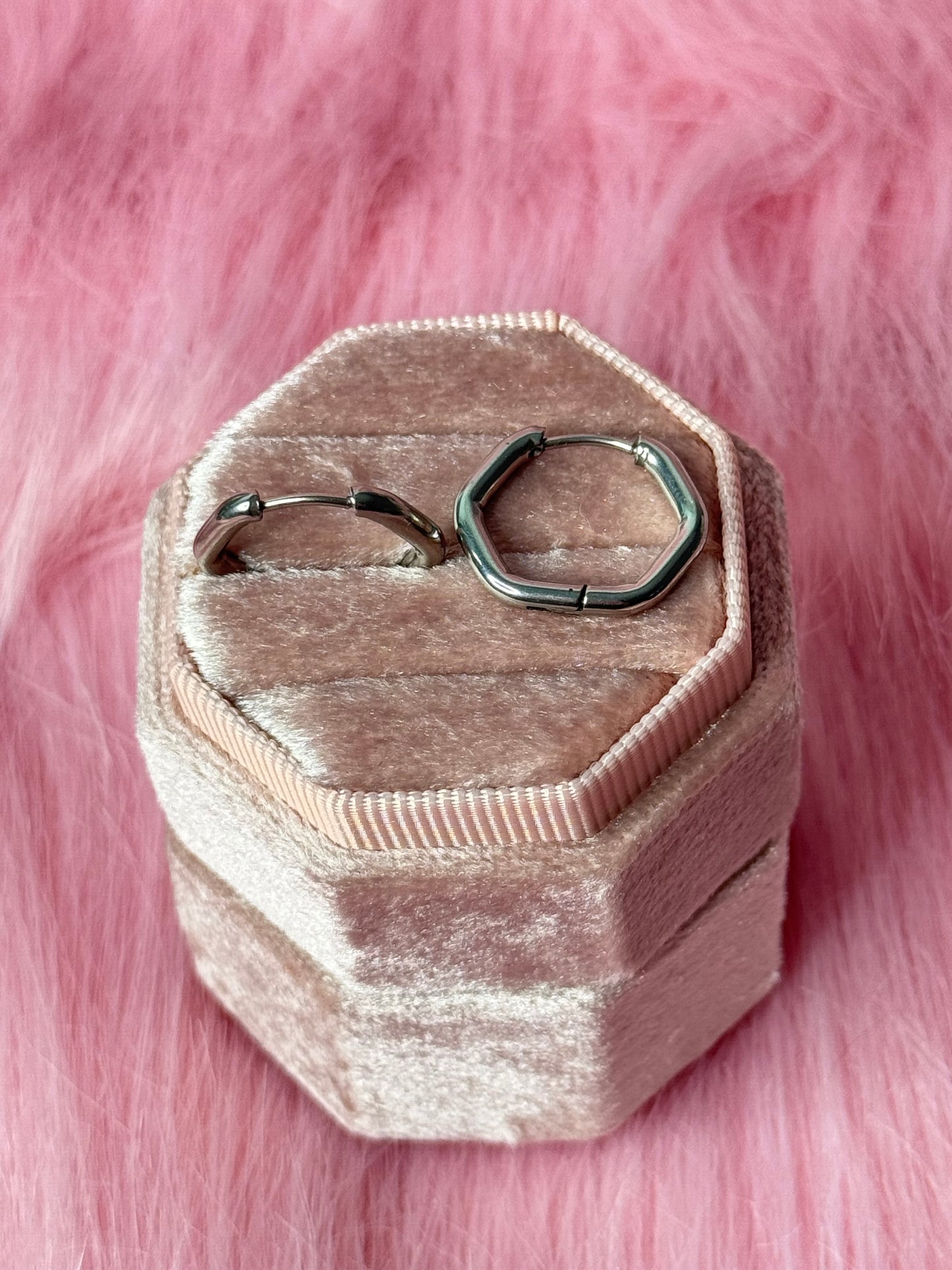 Stainless Steel Earrings