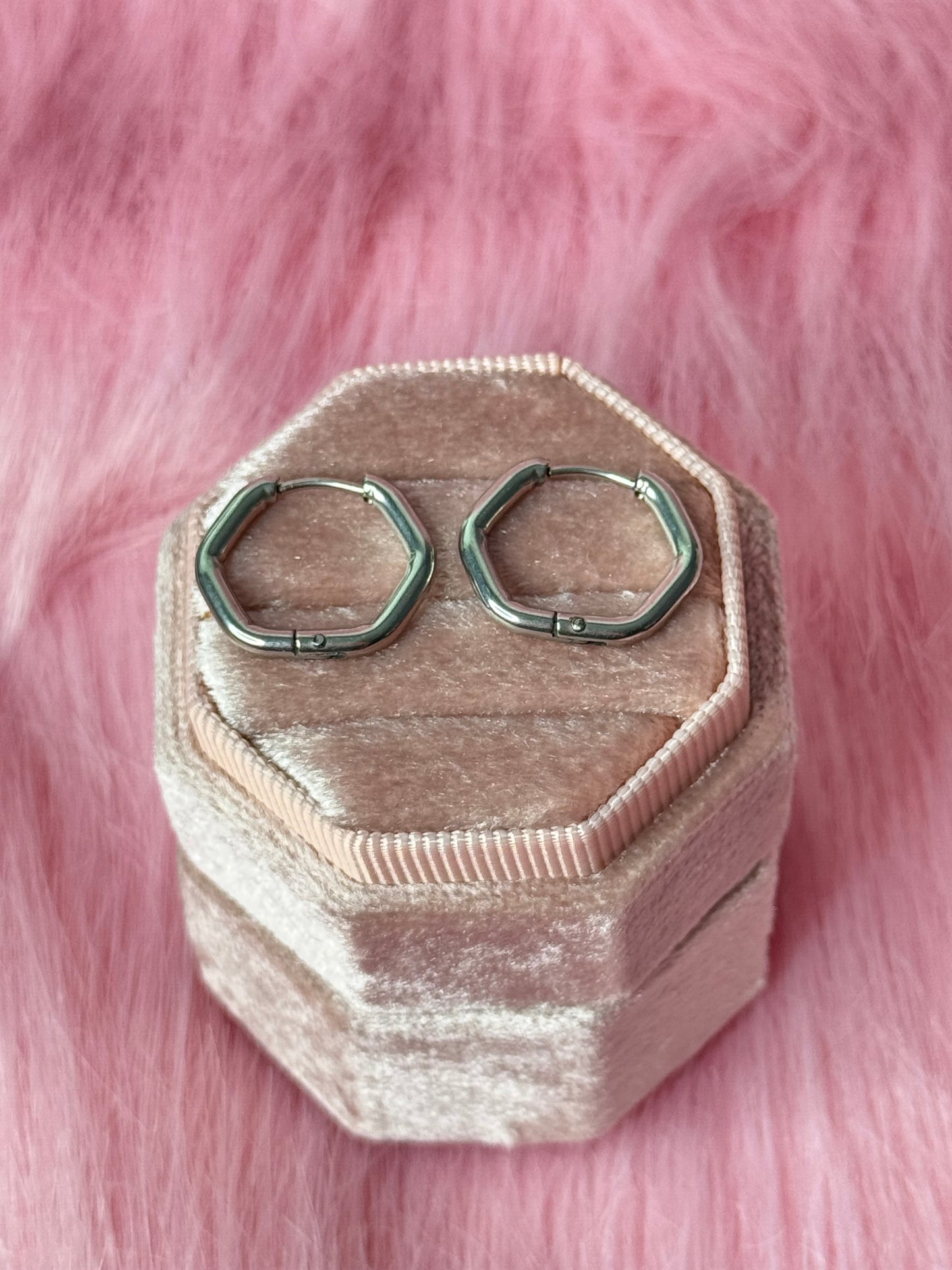 Stainless Steel Earrings